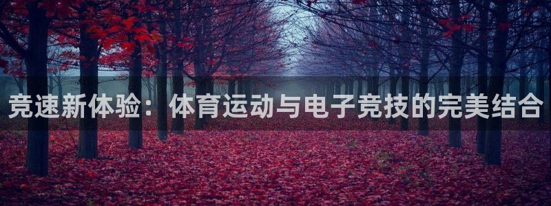 竞速新体验：体育运动与电子竞技的完美结合