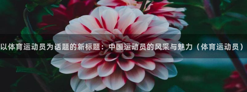 以体育运动员为话题的新标题：中国运动员的风采与魅力（体育运动员）