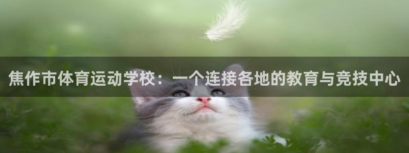 焦作市体育运动学校：一个连接各地的教育与竞技中心