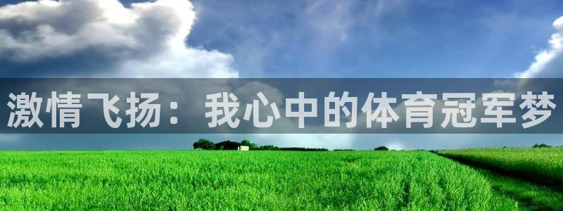 激情飞扬：我心中的体育冠军梦