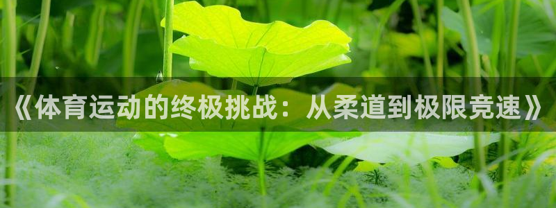 《体育运动的终极挑战：从柔道到极限竞速》