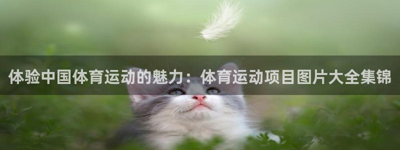 体验中国体育运动的魅力：体育运动项目图片大全集锦
