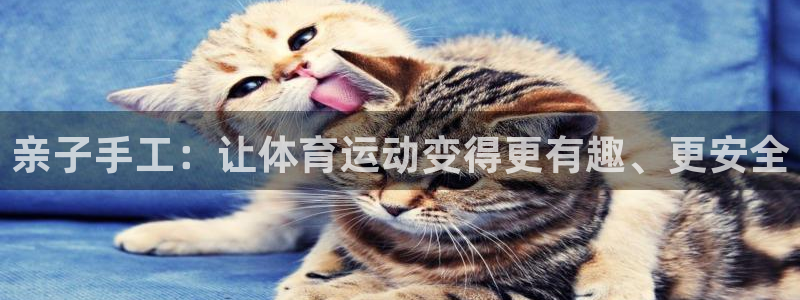 亲子手工：让体育运动变得更有趣、更安全