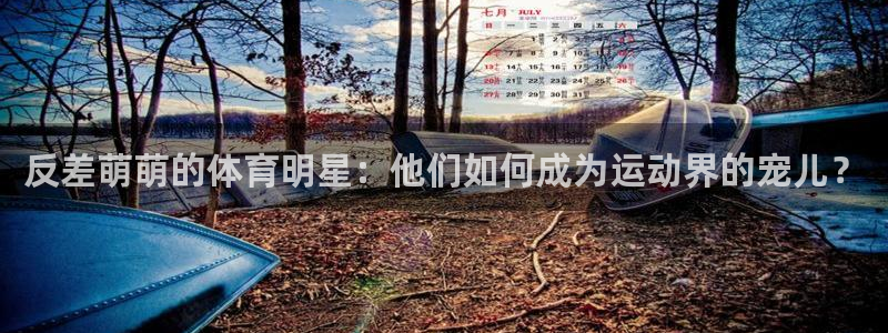 反差萌萌的体育明星：他们如何成为运动界的宠儿？
