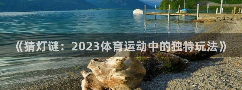 《猜灯谜：2023体育运动中的独特玩法》