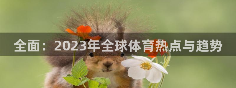 全面：2023年全球体育热点与趋势
