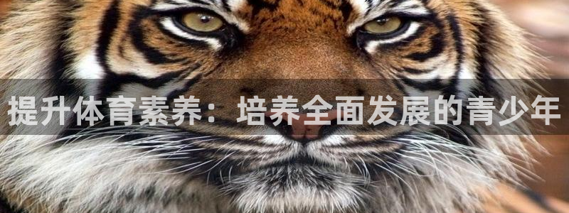 提升体育素养：培养全面发展的青少年