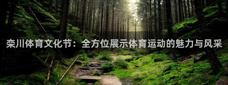 栾川体育文化节：全方位展示体育运动的魅力与风采