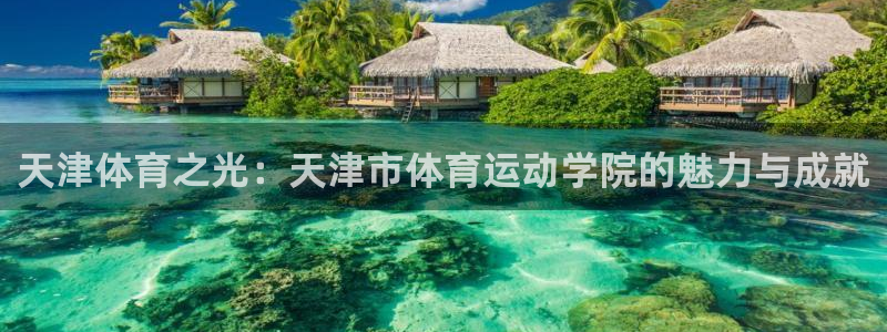 天津体育之光：天津市体育运动学院的魅力与成就