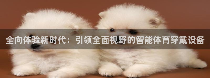 全向体验新时代：引领全面视野的智能体育穿戴设备