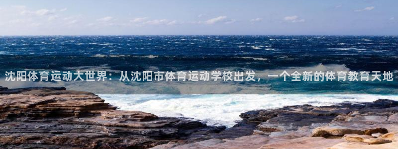 沈阳体育运动大世界：从沈阳市体育运动学校出发，一个全新的体育教育天地